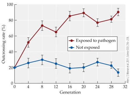 <strong>Refer to the figure.   This figure presents data from a laboratory experiment using the nematode worm Caenorhabditis elegans and its lethal bacterial pathogen Serratia marcescens. Which of the following is not a reasonable inference from this figure?</strong> A) When the pathogen is present in the environment, selection favors the production of more genetically variable offspring. B) Selection for resistance to pathogens may counterbalance the cost of males in explaining why sexual reproduction is so widespread among organisms. C) There is genetically based variation in C. elegans populations for outcrossing frequency. D) In wild populations of C. elegans, outcrossing rates likely tend to be between around 70-90%. <div style=padding-top: 35px> 