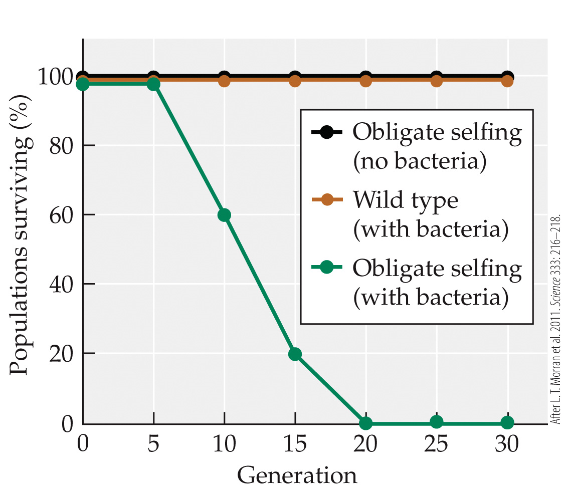 <strong>Refer to the figure.   The figure shows the results of an experiment where wild type and obligate selfing (i.e. self-fertilizing) C. elegans nematode worms were reared across many generations, with and without their lethal bacterial pathogen, Serratia marcescens. Which of the following is not a reasonable inference from this figure?</strong> A) C. elegans populations with very limited genetic variation are more vulnerable to pathogens. B) Outcrossing may be advantageous only under particular conditions. C) After 30 generations, mortality rate from S. marcescens for a treatment Wild type (no bacteria) would probably be around 0%. D) After 30 generations, mortality rate from S. marcescens for a treatment Wild type (no bacteria) would probably be around 100%. <div style=padding-top: 35px> 