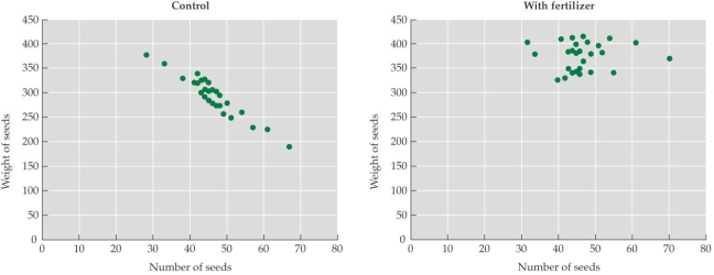 <strong>Refer to the figure.    - Seedlings of an annual plant were split into two equal treatment groups; in one group, extra fertilizer was added, and in the other group (the control group), no additional fertilizer was added. The numbers of seeds and the average weight of the seeds from each individual plant were monitored, and these data were plotted (each point represents an individual plant). According to the figure, it appears that fertilizer treatment _______ seed size and _______ seed number.</strong> A) increased; had no effect on B) increased; increased C) had no effect on; decreased D) decreased; increased <div style=padding-top: 35px> 