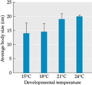 Refer to the figure.   This figure is based on data from a study of how ambient temperature during development affects adult body size. The figure shows data for individuals of a single genotype in a single species. A total of 20 individuals were raised under different temperature treatments.  -The blue bars show the average body size of individuals for each temperature treatment, and the black bars provide a measure of the variation in body size recorded for each treatment. Which developmental temperature led to the highest variability in offspring size? Which temperature led to the lowest variability in offspring size? How did you assess the effect of temperature on body size variation? What is the term that best describes this pattern?<div style=padding-top: 35px> 