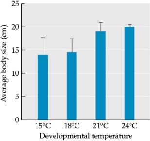 Refer to the figure.   This figure is based on data from a study of how ambient temperature during development affects adult body size. The figure shows data for individuals of a single genotype in a single species. A total of 20 individuals were raised under different temperature treatments.  -The blue bars show the average body size of individuals for each temperature treatment, and the black bars provide a measure of the variation in body size recorded for each treatment. Suppose that this species is an animal. In this animal species, larger individuals have a much higher reproductive output, but smaller individuals are better at surviving unpredictable weather (especially colder temperatures). Over a long time scale, how might the average size of individuals of this species be affected by the predictability of average temperatures?<div style=padding-top: 35px> 