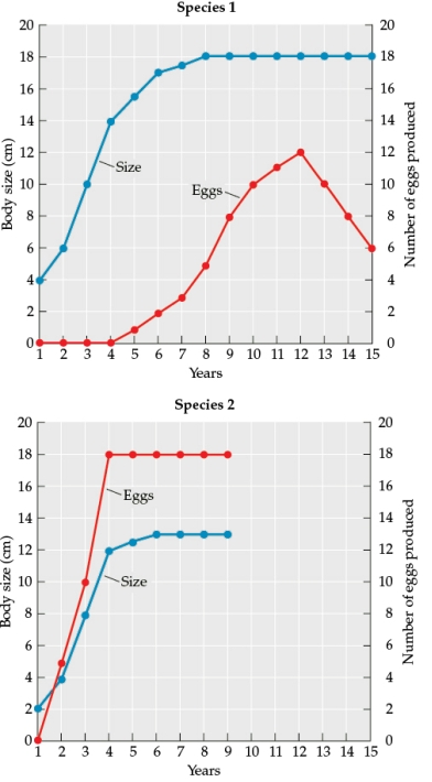 Refer to the figure.    - The figure is based on data from a study of the body size and reproductive output of individual females of two different species (species 1 and species 2) over time. Each figure illustrates the growth and reproduction of each individual over its life span. Suppose that body size is positively correlated with egg size. Which species do you predict would produce larger eggs? Why?<div style=padding-top: 35px> 