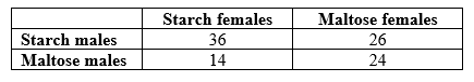 <strong>Refer to the table.    -Suppose that, following the experiments by Dodd, Drosophila pseudoobscura are fed one of two diets (starch or maltose) for many generations. Once they have adapted to the new food sources, individual females from the starch treatment are given a choice between a male adapted to starch (a starch male), or a male adapted to maltose (a maltose male). Once 50 females have chosen a mate, the experiment is repeated with females adapted to maltose. According to the results in the table, what percentage of starch females chose maltose males?</strong> A) 14% B) 28% C) 36% D) 58% <div style=padding-top: 35px> 
