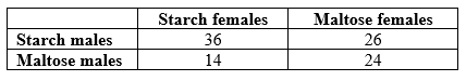 <strong>Refer to the table.    - Suppose that, following the experiments by Dodd, Drosophila pseudoobscura are fed one of two diets (starch or maltose) for many generations. Once they have adapted to the new food sources, individual females from the starch treatment are given a choice between a male adapted to starch (a starch male), or a male adapted to maltose (a maltose male). When 50 females have chosen a mate, the experiment is repeated with females adapted to maltose. The results are in the table. Which conclusion is best supported by the data?</strong> A) No reproductive barriers evolved. B) Partial reproductive barriers evolved in one direction of the cross, with starch-adapted females choosing starch-adapted males over maltose-adapted males. C) Partial reproductive barriers evolved in both direction of the cross. D) Complete reproductive barriers evolved in both directions of the cross. <div style=padding-top: 35px> 
