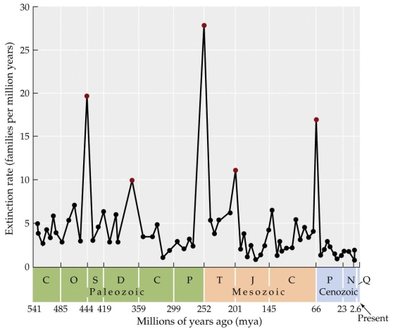 <strong>Refer to the figure.    -Based on the figure, the largest mass extinction occurred about _______ million years ago.</strong> A) 65 B) 180 C) 250 D) 300 <div style=padding-top: 35px> 