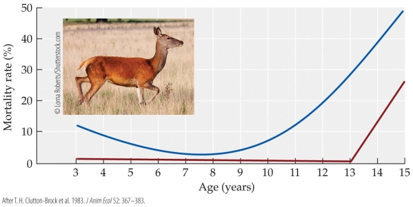 Refer to the figure.   The figure shows the mortality rate for female red deer of different ages that reproduced (blue curve) or did not reproduce (red curve). Describe the patterns you see and suggest likely explanations for the general shapes of these two curves.<div style=padding-top: 35px> 