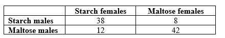 <strong>Refer to the table.   Suppose that, following the experiments by Dodd, Drosophila pseudoobscura are raised on one of two diets (starch or maltose) for many generations. Once they have adapted to the new food sources, individual females from the starch treatment are given a choice between a male adapted to starch (a starch male), or a male adapted to maltose (a maltose male). When 50 females have chosen a mate, the experiment is repeated with females adapted to maltose. The results are in the table. Which conclusion is best supported by the data?</strong> A) No reproductive barriers evolved. B) Partial reproductive barriers evolved in one direction of the cross, with maltose-adapted females choosing maltose-adapted males over starch-adapted males. C) Partial reproductive barriers evolved in both direction of the cross. D) Complete reproductive barriers evolved in both directions of the cross. <div style=padding-top: 35px> 