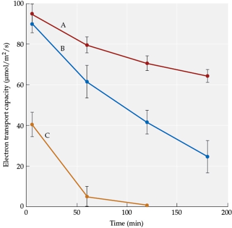 <strong>Refer to the figure showing results from an experiment by Kozaki and Takeba on genetically altered tobacco plants under conditions that promote damage to photosynthetic membranes. Curve _______ represents the plants altered to reduce their photorespiration rates; curve _______ represents plants altered to increase photorespiration rates.</strong> A) A; C B) B; C C) C; A D) A; B