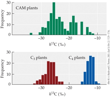 <strong>Refer to the figure showing delta values for plants using three different biochemical pathways for photosynthesis. Which of these types of plants shows the most negative delta value, that is, the greatest discrimination against the uptake of <sup>13</sup>C?</strong> A) C<sub>3</sub> plants only B) C<sub>4</sub> plants only C) C<sub>3</sub> and CAM plants D) C<sub>4</sub> and CAM plants