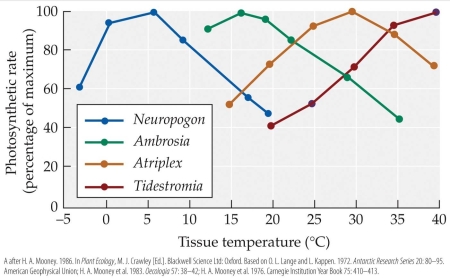 <strong>Refer to the figure. illustrating the effect of tissue temperature on photosynthetic rates in four different plant species. Which plant is most effective in photosynthesizing at tissue temperatures of 15°C?</strong> A) Neuropogon B) Ambrosia C) Atriplex D) Tidestromia