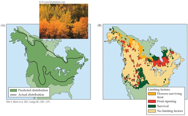 <strong>Refer to the figure. -The figure shows the distribution of aspen in North America and the factors that limit it. If aspen evolved an adaptation that made it more drought-tolerant, the expansion of its range would most likely occur</strong> A) in north central Canada. B) in northwestern Canada and Alaska. C) across the Great Plains of the United States. D) in southeastern United States.