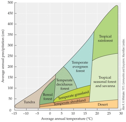 <strong>Refer to the figure. - The figure shows how biomes vary with temperature and precipitation. If the precipitation in Florida (largely temperate evergreen forest) increased to an average of 275 cm per year and the temperature warmed to an average of 19°C, how would that change the landscape?</strong> A) All of Florida would be covered in evergreen forests. B) Part of Florida would transition to a mix of grasslands and shrublands. C) Florida would be covered in tropical seasonal forest with a small area of tropical rainforest. D) All of Florida would be covered in tropical rainforest.