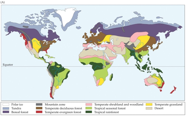 <strong>Refer to the map. The map shows locations of biomes across the world. To which biome do New Zealand and the southeast section of Australia belong?</strong> A) Tropical rainforest B) Boreal forest C) Temperate deciduous forest D) Temperate evergreen forest