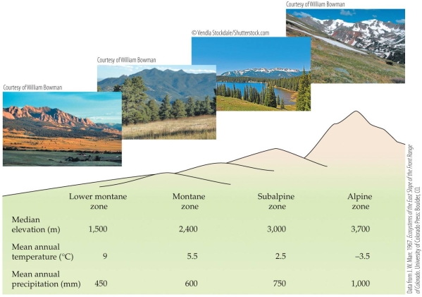 <strong>Refer to the figure. Based on the figure, how does the climate change as one moves from the alpine to the subalpine to the montane zone of a mountain?</strong> A) Both temperature and precipitation increase. B) Both temperature and precipitation decrease. C) Temperature increases and precipitation decreases. D) Temperature decreases and precipitation increases.