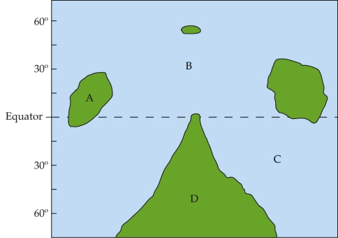 <strong>Refer to the figure. The map is of an imaginary planet that is roughly the same as Earth. Like Earth, it is tilted on its axis by about 23<font face=symbol> \degree </font>, and it rotates around a sun-like star in approximately one year. At which site would a high-pressure system be most likely to develop during the summer?</strong> A) Site A B) Site B C) Site C D) Site D
