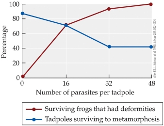 <strong>Refer to the figure.    -The figure is based on Johnson's experiment on the effects of trematode parasites on tadpoles. Which statement best describes the control group in the experiment?</strong> A) Tadpoles were grown in the absence of trematode parasites. B) Tadpoles were allowed to grow in nets in their natural environment. C) Tadpoles were grown in the presence of only one trematode parasite. D) Tadpoles were grown in a tank in which the concentration of trematode parasites was similar to the parasite concentration of ponds in which deformed frogs were found. <div style=padding-top: 35px> 