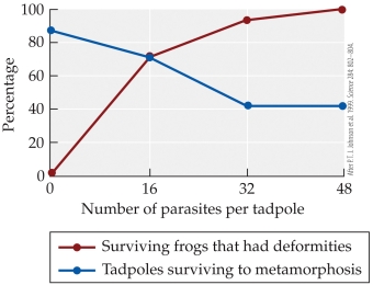 <strong>Refer to the figure.    - The figure is based on Johnson's experiment on the effects of trematode parasites on tadpoles. Which claim is supported by the figure?</strong> A) As the number of parasites that the tadpoles were exposed to decreased, the percentage of surviving frogs with deformities increased. B) As the number of parasites that the tadpoles were exposed to increased, the percentage of surviving tadpoles decreased. C) If there were no parasites present, 100% of the tadpoles survived to metamorphosis. D) Tadpoles with moderate levels of parasites had the lowest percent of deformities in adults. <div style=padding-top: 35px> 