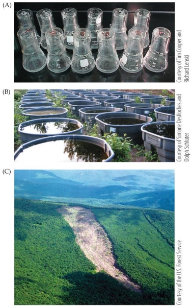 <strong>Refer to the figure.   The figure shows three types of experimental setups: laboratory, small-scale field study, and large-scale field study. In which of the following cases would the large-scale field study be the most appropriate?</strong> A) When very detailed, precise measurements are required B) When the organisms being studied are small and rare C) When events being studied are long-term or cover large geographic areas D) When the study is being conducted by environmental scientists rather than ecologists <div style=padding-top: 35px> 