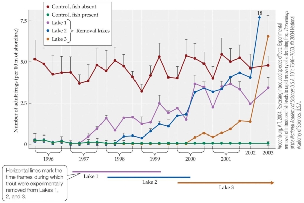 <strong>Refer to the figure.   The figure represents the results of an experiment by Vredenburg, who compared the numbers of frogs in several categories of lakes: lakes never having trout (control), lakes having trout (control), and lakes from which he removed trout at different times. He observed changes in frog populations over eight years in all lakes. Based on evidence from the figure, which conclusion can be made about the effect of trout removal on frog populations?</strong> A) Frog populations in some lakes overpopulate after the removal of trout. B) Frog populations increase in some removal lakes but not in others. C) Frog populations never recover once trout have been introduced. D) Frog populations begin to recover once trout are removed. <div style=padding-top: 35px> 
