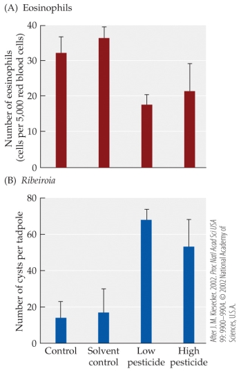 <strong>Refer to the figures.   The figures are based on studies of the effects of pesticides on the tadpole immune system. In a laboratory experiment, wood frog (Rana sylvatica) tadpoles were exposed to low or high concentrations of a pesticide, and then to Ribeiroia parasites. The tadpoles were then examined for (A) numbers of eosinophils and (B) numbers of Ribeiroia cysts. Error bars show one SD of the mean. Compared with the control group, the frogs exposed to low concentrations of pesticides had about how many times as many parasite cysts?</strong> A) 1.5 B) 3 C) 4.5 D) 10 <div style=padding-top: 35px> 