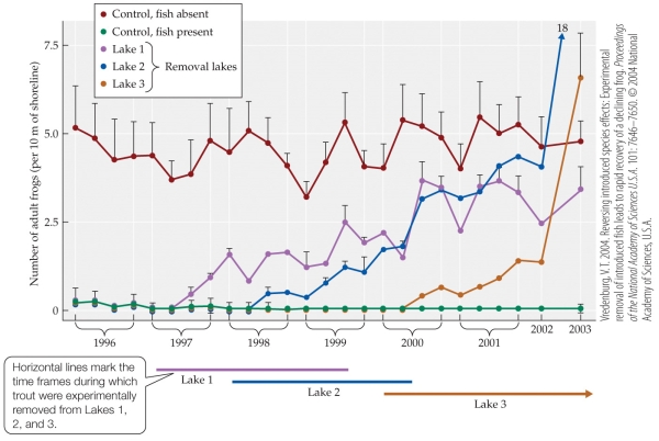 <strong>Refer to the figure.   Vredenburg studied the impact of introduction of rainbow and brook trout on a species of amphibian, the mountain yellow-legged frog (Rana muscosa). After showing greatly decreased frog populations in lakes with trout, he set up an experiment using three categories of lakes: lakes from which he removed trout, lakes that had never had trout, and lakes that still contained trout. He compared the number of adult frogs per 10 m of shoreline in all groups, as shown in the figure. In Vredenburg's experimental design, why did he use two control groups?</strong> A) To be doubly sure his results were correct B) To ensure that he had enough data for statistical analysis C) To control for unknown factors that might be present in the lakes D) To control for the effects of two known natural conditions <div style=padding-top: 35px> 