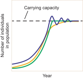 Refer to the graph below showing the change in the number of individuals over time for a population limited by density dependence. -Growth in the population is similar when the population is low and when it approaches its carrying capacity. Explain why the growth rate is similar under such different circumstances.
