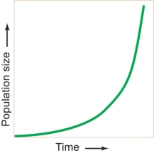 <strong>Refer to the figure below. Population size increases over time if the number of births or immigration exceeds the deaths and emigration. If no limiting factors slow growth, then the natural growth is a simple progression called </strong> A) the carrying capacity. B) the ecological footprint. C) exponential growth. D) density dependence. E) population density.