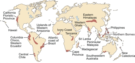 <strong>Examine the map of biological hot spots below and choose the best conclusion of the data shown on the map. </strong> A) Biodiversity hot spots regularly occur inland. B) Most of the biological hot spots occur near the equator. C) Biodiversity hot spots are evenly distributed throughout the continents. D) It is important to understand where biodiversity hot spots are so measures can be taken to protect the biodiversity that exists. E) None of the above