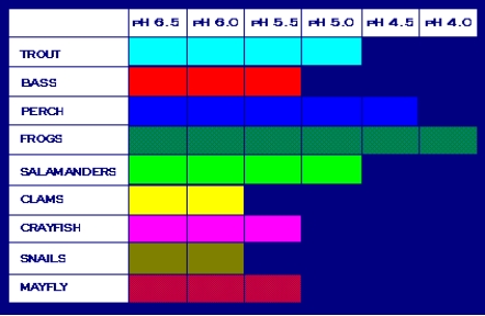 <strong>A team of environmental scientists conducted a water quality study on a river. They studied the dissolved oxygen and pH of the water. They also examined how these factors may affect fish in the pond. The dissolved oxygen levels found were 2.0 ppm and the pH was 5.0. According to this study and the charts below, what is the best conclusion that can be made based on the information given and fish survival? (Source: http://www.water-research.net/Watershed/dissolvedoxygen.htm) (Source: http://www.epa.gov/acidrain/effects/surface_water.html)</strong> A) No fish can survive at the dissolved oxygen or pH levels found in this study. B) Trout and bass can live in the water based on the dissolved oxygen and pH levels found in this study. C) The dissolved oxygen is high enough for fish but the pH levels are too low. D) The pH levels could support trout and perch, but not bass; however, the dissolved oxygen levels are too low to support fish. E) The dissolved oxygen and pH levels are good enough for all aquatic organisms to survive.