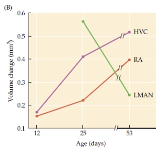 Refer to the graph. These data show that as a bird ages, there are changes in the volume of brain regions involved in producing birdsong, specifically: higher vocal center (HVC), robustus archistriatum (RA), and lateral magnocellular nucleus of the anterior neostriatum (LMAN). How does each region change, and what does this suggest about their function in birdsong?
