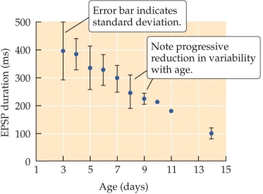Refer to the figure. These data show the maturation of excitatory synapses in the rat neocortex. From the graph, what can you conclude about how the duration of the postsynaptic potential changes as development progresses? What does the reduction in standard deviation error bars indicate?