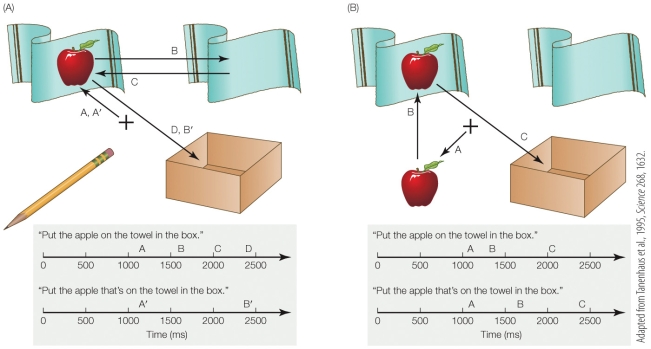<strong>Refer to the figure. Based on the results of the experiment illustrated, how does context affect a subject's ability to make sense of the ambiguous component in the sentence Put the apple on the towel in the box?</strong> A) The pencil does not aid the listener in A, but the apple in B provides context, helping the subject avoid confusion. B) The listener is confused in both A and B. Since they do not know to look only at the apple on the towel, they look at the single apple first. C) The time spent looking at the towel in A demonstrates a clear understanding of the sentence. D) The two sets of timelines of eye-gaze duration in A and B show that context does not affect the listener's ability to disambiguate sentence.
