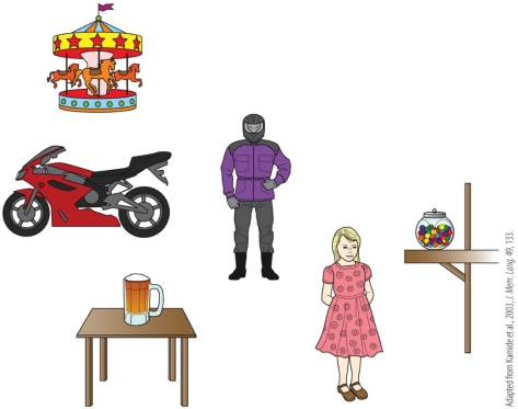 Refer to the figure. Based on the results of Kamide et al.'s 2003 study, which images would a participant look at as they hear The beer was drunk by…? How does this outcome help us understand the time course of sentence parsing and how various sources of information are integrated?