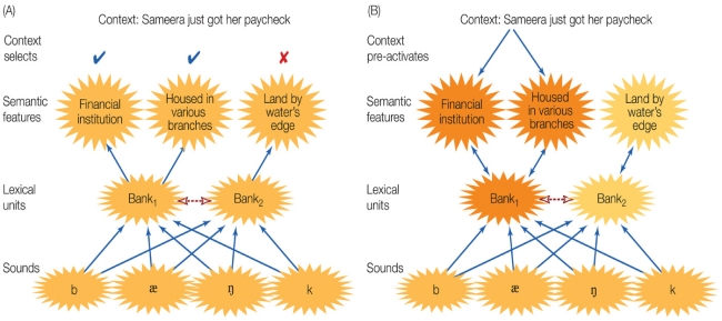 Refer to the figure. Based on the figure, describe the effects of context on word activation and how the models in A and B differ with regard to how they characterize the influence of context on understanding the ambiguous word bank.
