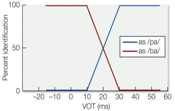 Refer to the figure. If the figure refers to the categorical perception of /ba/ and /pa/, summarize how a person would interpret these sounds as the VOT changed for each.