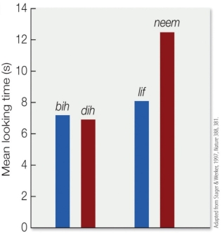 <strong>Refer to the figure, in which the blue bars represent same trials and the red bars represent switch trials. What is the best interpretation of Stager and Werker's 1997 data, represented by the four bars in the graph?</strong> A) Children have a difficult time realizing that two different auditory stimuli mean different things if the phonetic distinction between them is minimal. B) Children have a difficult time realizing that two different auditory stimuli mean different things if the phonetic distinction between them is large. C) Children reliably map different auditory stimuli onto different meanings regardless of whether the stimuli sound very similar or very different. D) Mean looking times cannot be used to describe how children map meaning onto sound information.