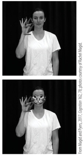 <strong>Refer to the images shown. This ASL sign for cat illustrates the concept of</strong> A) mutual exclusivity. B) onomatopoeia. C) iconicity. D) superordinate-level categories.