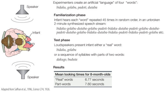 Refer to the figure. Based on the results in the table, what can you conclude about the ability of an 8-month-old to detect words presented to him during the familiarization phase?