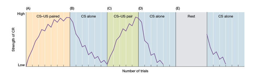 Use the following to answer questions Refer to the figure below. -Section B of the chart best illustrates