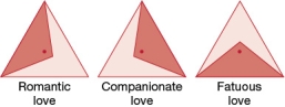 <strong>Refer to the figure below. According to the triangular theory of love, companionate love involves</strong> A) intimacy, commitment, and passion. B) commitment alone. C) passion plus intimacy. D) intimacy plus commitment.