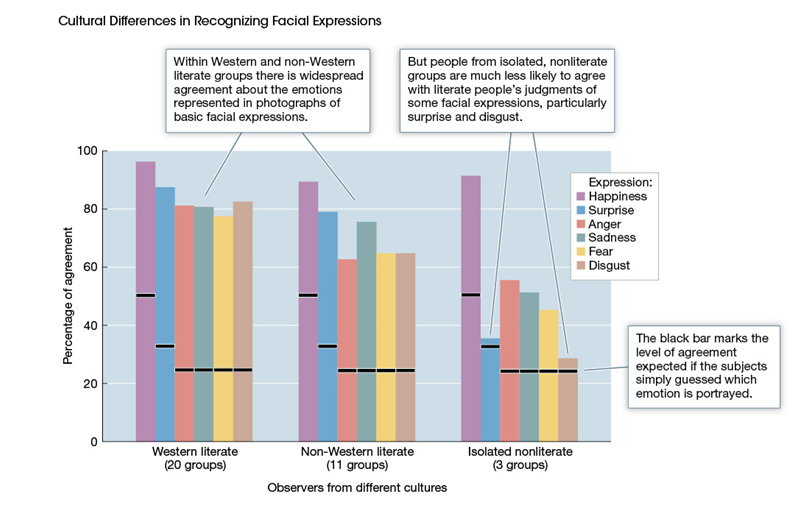 <strong>Use the following to answer questions : Refer to the graph below. -What does the graph reveal about facial expressions that indicate disgust?</strong> A) In some cultures, expressions of disgust are rare or nonexistent. B) Expressions of disgust may be more consistent in literate groups than in nonliterate groups. C) People in nonliterate groups have little familiarity with emotional displays of disgust. D) Members of Western literate groups use similar facial expressions for many emotions.