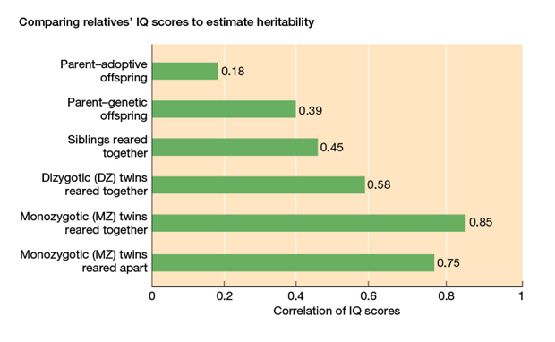 Use the following to answer questions : Refer to the table below. -Which of the following aspects of the data most strongly supports nongenetic influences on IQ scores?