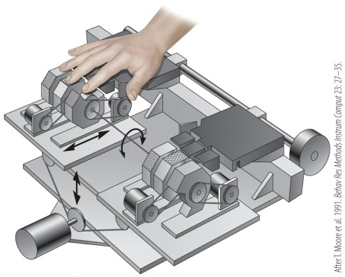 <strong>Refer to the figure. This figure illustrates an apparatus used to</strong> A) measure bodily reaction to hot and cold stimuli. B) measure signals from the fingers to the brain. C) display targets to the fingertips. D) administer painful sensations to the fingertips. E) measure pain thresholds.