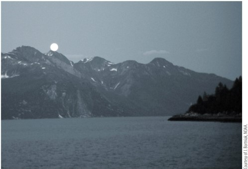 <strong>Refer to the image. The moonlit world depicted in the image appears to be drained of color because</strong> A) we can only use two types of rod photoreceptors under these conditions. B) in photopic conditions, only our rods are active. C) in scotopic conditions, only our rods are active. D) in photopic conditions, only our cones are active. E) in scotopic conditions, only our S-cones are active.