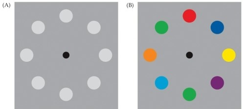 <strong>Refer to the figure. If you stare at the right-hand image of the figure for 20 seconds, and then look at the left-hand image, which colors do the top three circles appear to be, from left to right (i.e., 11, 12, and 1 o'clock positions)?</strong> A) Blue, green, yellow B) Red, blue, orange C) Red, green, yellow D) Yellow, green, red E) Purple, green, orange
