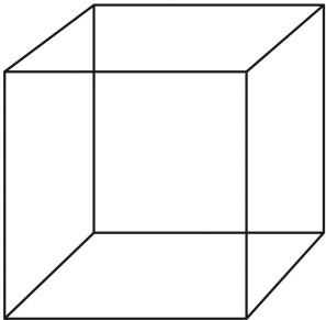 <strong>Refer to the figure. This figure is a classic demonstration of</strong> A) illusory contours. B) an accidental viewpoint. C) shadow boundaries. D) an ambiguous figure. E) texture segmentation.