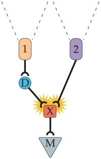 <strong>Refer to the figure. What does D represent?</strong> A) Direction B) Disparity C) Delay D) Difference E) Distractor
