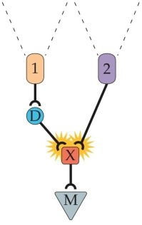 Refer to the figure. The M unit would best respond to a(n) _______ direction of motion.