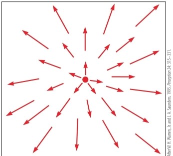 Refer to the figure. This is an example of _______, which is the changing angular position of points in an image that one experiences as they move through the world.