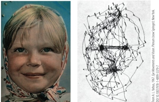 Refer to the figure. The image on the right illustrates